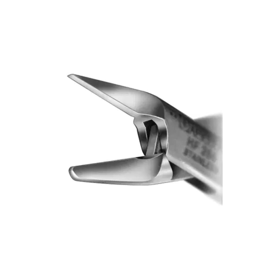 Nail Nippers - צבת מקצועית לציפורניים, להב 21 מ"מ