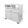 Storage cabinet - ארונית אחסון ניידת מקצועית