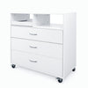 Storage cabinet - ארונית אחסון ניידת מקצועית