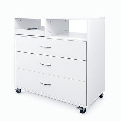 Storage cabinet - ארונית אחסון ניידת מקצועית