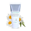 Sedative Shampoo -שמפו להרגעת קרקפת מגורה