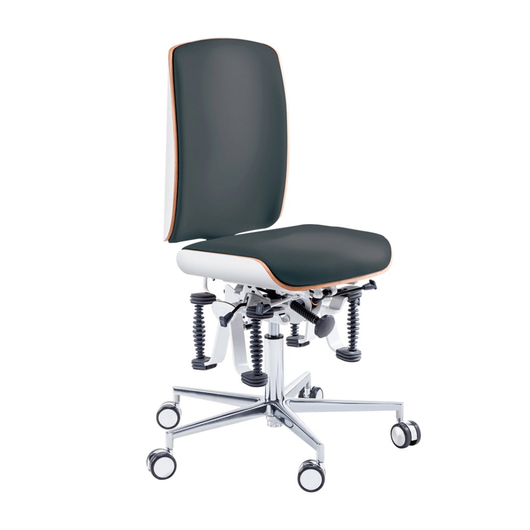 Professional chair - כיסא עבודה מקצועי אוניברסלי  STOOL BIOSWING