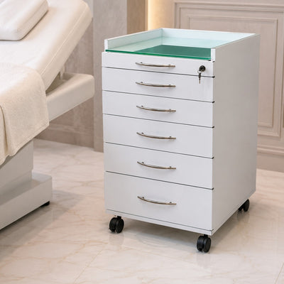 Storage cabinet - ארונית שירות מקצועית ניידת