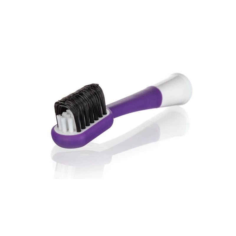 ראש צחצוח חלופי קלין קרל איירבג מארז זוגי EW-SG2C Clean Curl Sonic Head